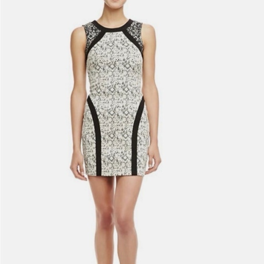 Parker Black and White Lace Mini Dress